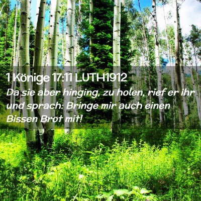 Picture 02 - 1 Könige 17:11 LUTH1912 - Da sie aber hinging, zu holen, rief er ihr und - Bible Verse Picture