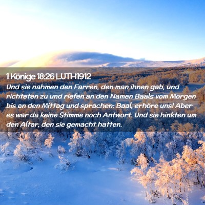 Picture 02 - 1 Könige 18:26 LUTH1912 - Und sie nahmen den Farren, den man ihnen gab, und - Bible Verse Picture