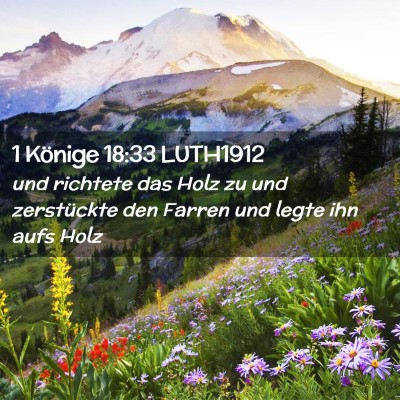 Picture 02 - 1 Könige 18:33 LUTH1912 - und richtete das Holz zu und zerstückte den - Bible Verse Picture