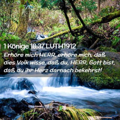 Picture 02 - 1 Könige 18:37 LUTH1912 - Erhöre mich HERR, erhöre mich, daß dies Volk - Bible Verse Picture