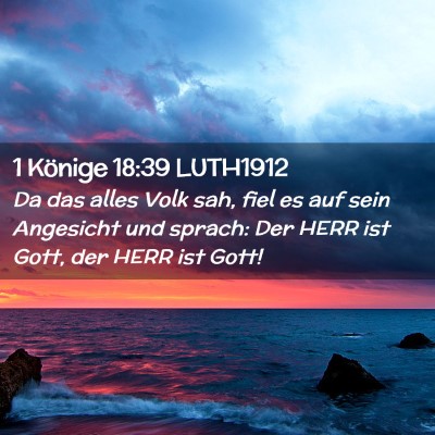 Picture 02 - 1 Könige 18:39 LUTH1912 - Da das alles Volk sah, fiel es auf sein Angesicht - Bible Verse Picture