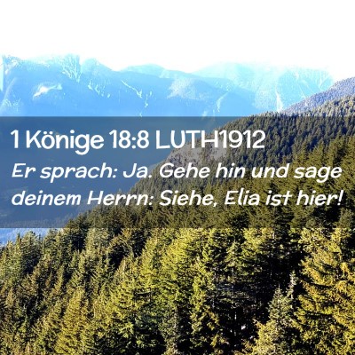 Picture 02 - 1 Könige 18:8 LUTH1912 - Er sprach: Ja. Gehe hin und sage deinem Herrn: - Bible Verse Picture