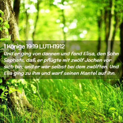 Picture 02 - 1 Könige 19:19 LUTH1912 - Und er ging von dannen und fand Elisa, den Sohn - Bible Verse Picture