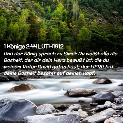 Picture 02 - 1 Könige 2:44 LUTH1912 - Und der König sprach zu Simei: Du weißt alle - Bible Verse Picture