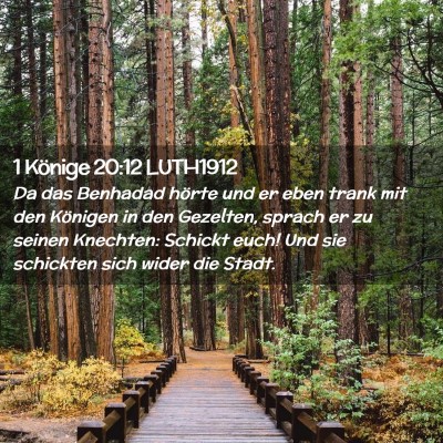Picture 02 - 1 Könige 20:12 LUTH1912 - Da das Benhadad hörte und er eben trank mit den - Bible Verse Picture