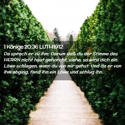 Picture 02 - 1 Könige 20:36 LUTH1912 - Da sprach er zu ihm: Darum daß du der Stimme des - Bible Verse Picture