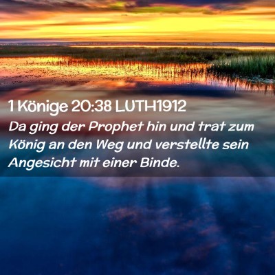Picture 02 - 1 Könige 20:38 LUTH1912 - Da ging der Prophet hin und trat zum König an - Bible Verse Picture