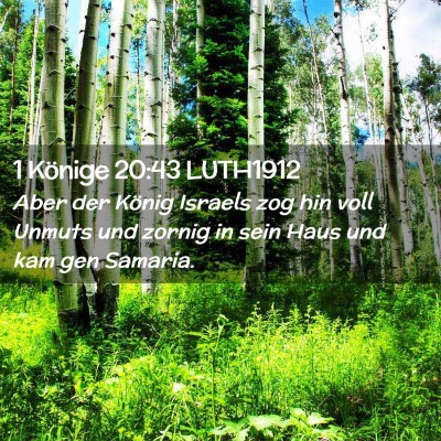 Picture 02 - 1 Könige 20:43 LUTH1912 - Aber der König Israels zog hin voll Unmuts und - Bible Verse Picture
