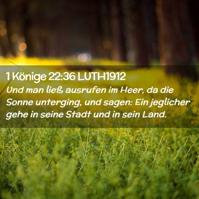 Picture 02 - 1 Könige 22:36 LUTH1912 - Und man ließ ausrufen im Heer, da die Sonne - Bible Verse Picture
