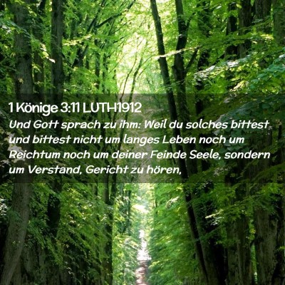 Picture 02 - 1 Könige 3:11 LUTH1912 - Und Gott sprach zu ihm: Weil du solches bittest - Bible Verse Picture