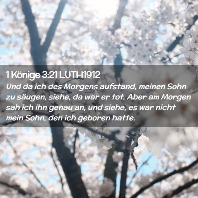 Picture 02 - 1 Könige 3:21 LUTH1912 - Und da ich des Morgens aufstand, meinen Sohn zu - Bible Verse Picture