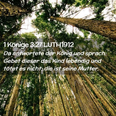 Picture 02 - 1 Könige 3:27 LUTH1912 - Da antwortete der König und sprach: Gebet dieser - Bible Verse Picture