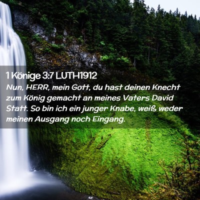 Picture 02 - 1 Könige 3:7 LUTH1912 - Nun, HERR, mein Gott, du hast deinen Knecht zum - Bible Verse Picture