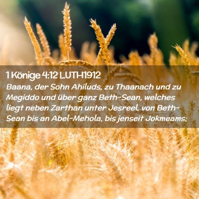 Picture 02 - 1 Könige 4:12 LUTH1912 - Baana, der Sohn Ahiluds, zu Thaanach und zu - Bible Verse Picture