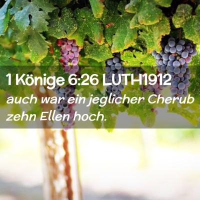 Picture 02 - 1 Könige 6:26 LUTH1912 - auch war ein jeglicher Cherub zehn Ellen - Bible Verse Picture