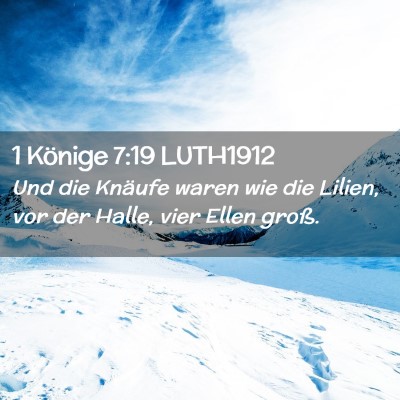 Picture 02 - 1 Könige 7:19 LUTH1912 - Und die Knäufe waren wie die Lilien, vor der - Bible Verse Picture