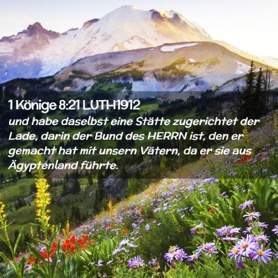Picture 02 - 1 Könige 8:21 LUTH1912 - und habe daselbst eine Stätte zugerichtet der - Bible Verse Picture