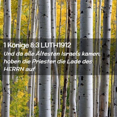 Picture 02 - 1 Könige 8:3 LUTH1912 - Und da alle Ältesten Israels kamen, hoben die - Bible Verse Picture