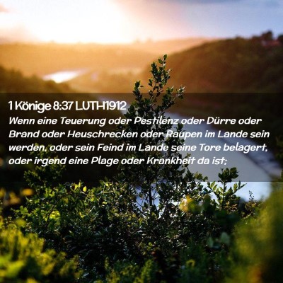 Picture 02 - 1 Könige 8:37 LUTH1912 - Wenn eine Teuerung oder Pestilenz oder Dürre - Bible Verse Picture