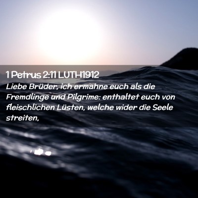 Picture 02 - 1 Petrus 2:11 LUTH1912 - Liebe Brüder, ich ermahne euch als die - Bible Verse Picture