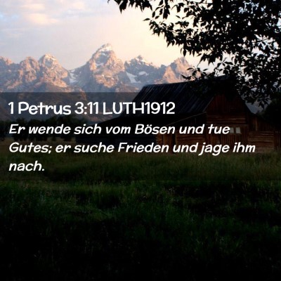 Picture 02 - 1 Petrus 3:11 LUTH1912 - Er wende sich vom Bösen und tue Gutes; er suche - Bible Verse Picture