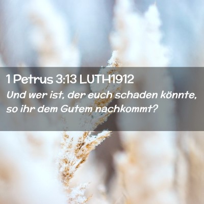 Picture 02 - 1 Petrus 3:13 LUTH1912 - Und wer ist, der euch schaden könnte, so ihr dem - Bible Verse Picture