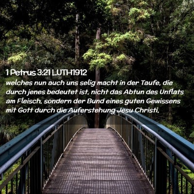 Picture 02 - 1 Petrus 3:21 LUTH1912 - welches nun auch uns selig macht in der Taufe, - Bible Verse Picture