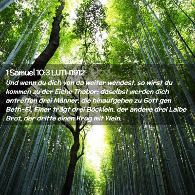Picture 02 - 1 Samuel 10:3 LUTH1912 - Und wenn du dich von da weiter wendest, so wirst - Bible Verse Picture