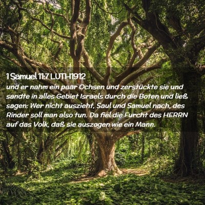 Picture 02 - 1 Samuel 11:7 LUTH1912 - und er nahm ein paar Ochsen und zerstückte sie - Bible Verse Picture