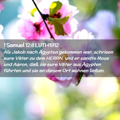 Picture 02 - 1 Samuel 12:8 LUTH1912 - Als Jakob nach Ägypten gekommen war, schrieen - Bible Verse Picture
