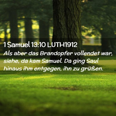 Picture 02 - 1 Samuel 13:10 LUTH1912 - Als aber das Brandopfer vollendet war, siehe, da - Bible Verse Picture