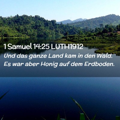 Picture 02 - 1 Samuel 14:25 LUTH1912 - Und das ganze Land kam in den Wald. Es war aber - Bible Verse Picture