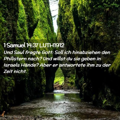 Picture 02 - 1 Samuel 14:37 LUTH1912 - Und Saul fragte Gott: Soll ich hinabziehen den - Bible Verse Picture