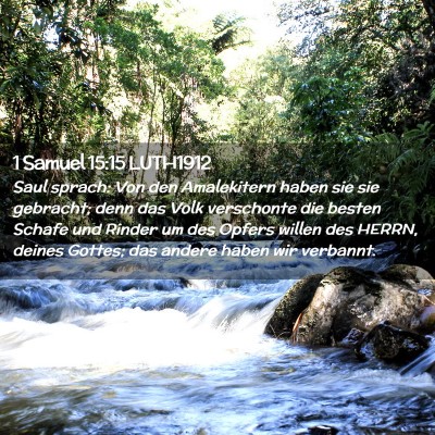 Picture 02 - 1 Samuel 15:15 LUTH1912 - Saul sprach: Von den Amalekitern haben sie sie - Bible Verse Picture