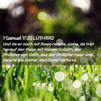Picture 02 - 1 Samuel 17:23 LUTH1912 - Und da er noch mit ihnen redete, siehe, da trat - Bible Verse Picture