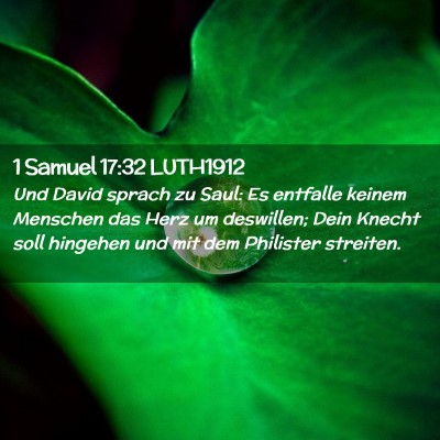Picture 02 - 1 Samuel 17:32 LUTH1912 - Und David sprach zu Saul: Es entfalle keinem - Bible Verse Picture