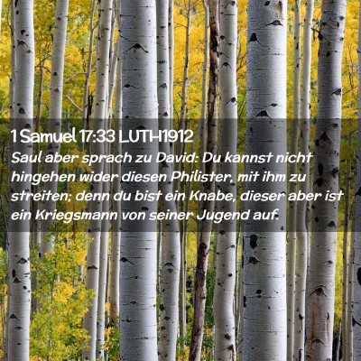 Picture 02 - 1 Samuel 17:33 LUTH1912 - Saul aber sprach zu David: Du kannst nicht - Bible Verse Picture