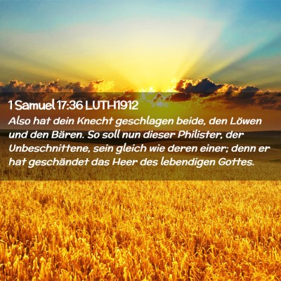 Picture 02 - 1 Samuel 17:36 LUTH1912 - Also hat dein Knecht geschlagen beide, den Löwen - Bible Verse Picture