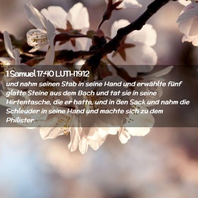 Picture 02 - 1 Samuel 17:40 LUTH1912 - und nahm seinen Stab in seine Hand und erwählte - Bible Verse Picture