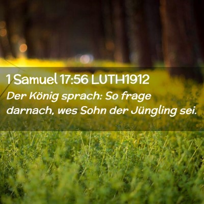 Picture 02 - 1 Samuel 17:56 LUTH1912 - Der König sprach: So frage darnach, wes Sohn der - Bible Verse Picture