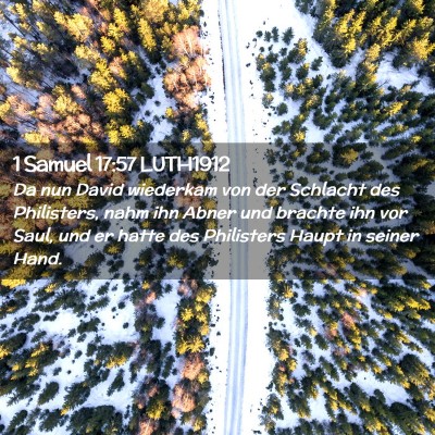 Picture 02 - 1 Samuel 17:57 LUTH1912 - Da nun David wiederkam von der Schlacht des - Bible Verse Picture