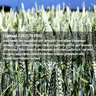 Picture 02 - 1 Samuel 2:28 LUTH1912 - und habe ihn daselbst mir erwählt vor allen - Bible Verse Picture