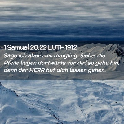 Picture 02 - 1 Samuel 20:22 LUTH1912 - Sage ich aber zum Jüngling: Siehe, die Pfeile - Bible Verse Picture