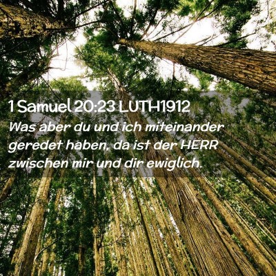 Picture 02 - 1 Samuel 20:23 LUTH1912 - Was aber du und ich miteinander geredet haben, da - Bible Verse Picture