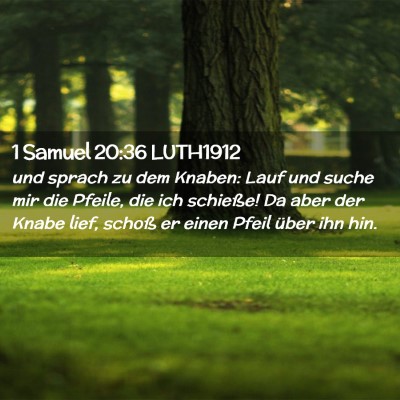 Picture 02 - 1 Samuel 20:36 LUTH1912 - und sprach zu dem Knaben: Lauf und suche mir die - Bible Verse Picture
