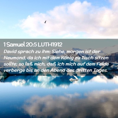 Picture 02 - 1 Samuel 20:5 LUTH1912 - David sprach zu ihm: Siehe, morgen ist der - Bible Verse Picture