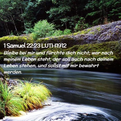 Picture 02 - 1 Samuel 22:23 LUTH1912 - Bleibe bei mir und fürchte dich nicht; wer nach - Bible Verse Picture