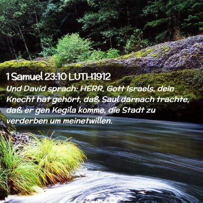 Picture 02 - 1 Samuel 23:10 LUTH1912 - Und David sprach: HERR, Gott Israels, dein Knecht - Bible Verse Picture