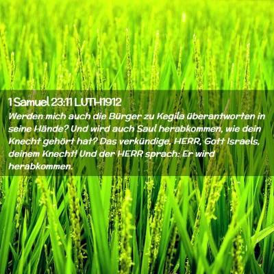 Picture 02 - 1 Samuel 23:11 LUTH1912 - Werden mich auch die Bürger zu Kegila - Bible Verse Picture