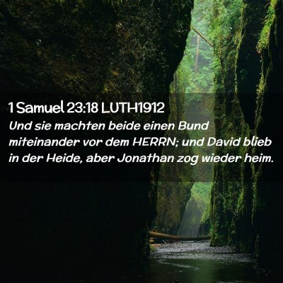 Picture 02 - 1 Samuel 23:18 LUTH1912 - Und sie machten beide einen Bund miteinander vor - Bible Verse Picture